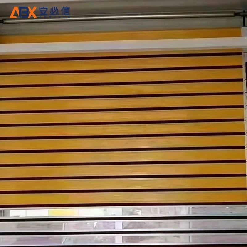 绵阳市消防高速门
